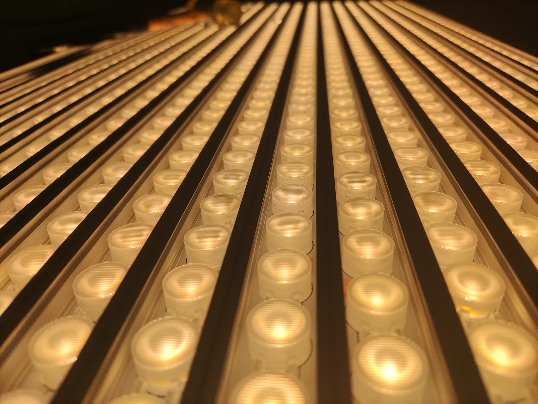 Warm-white linear fixtures under illumination